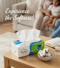 Fine Classic Tissues (550 Sheets)